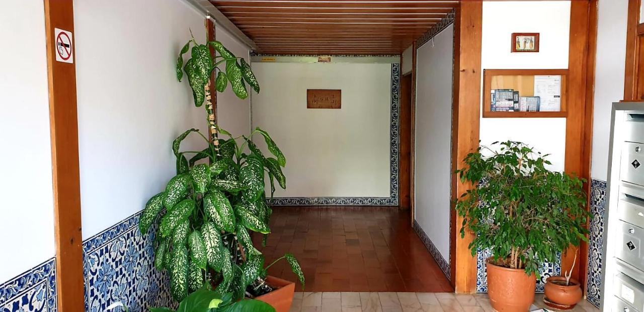 Sunny Setubal Apartments Extérieur photo